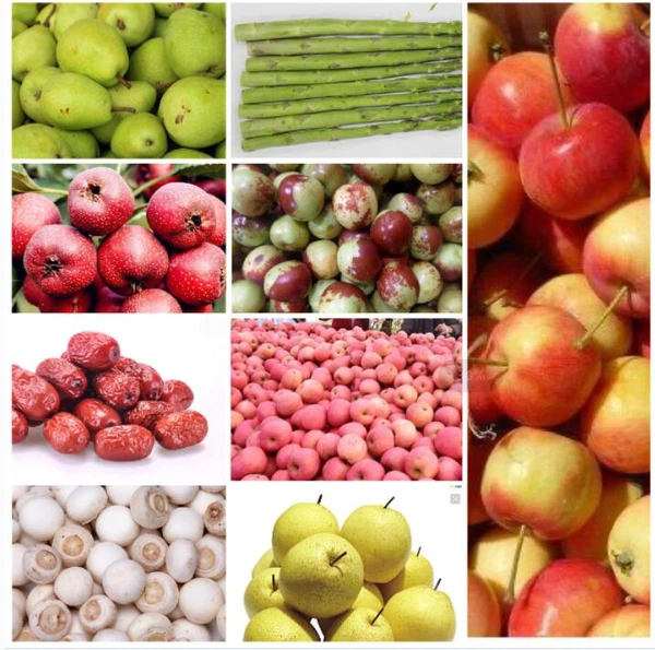 fruit sorting systems fruit sorting systems