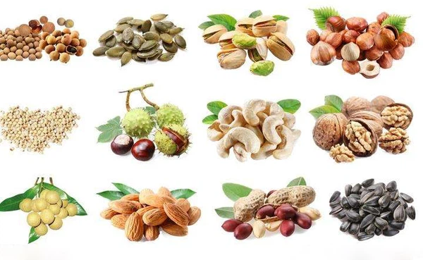 product-600-369 product-600-369