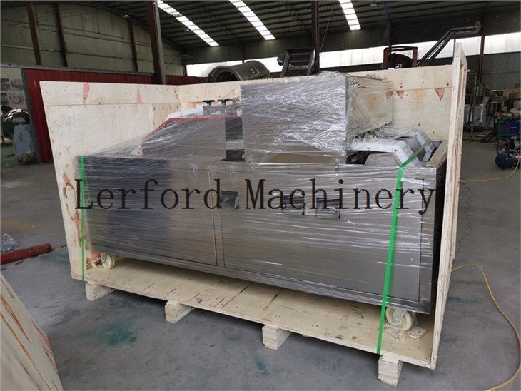 olive pitting machine