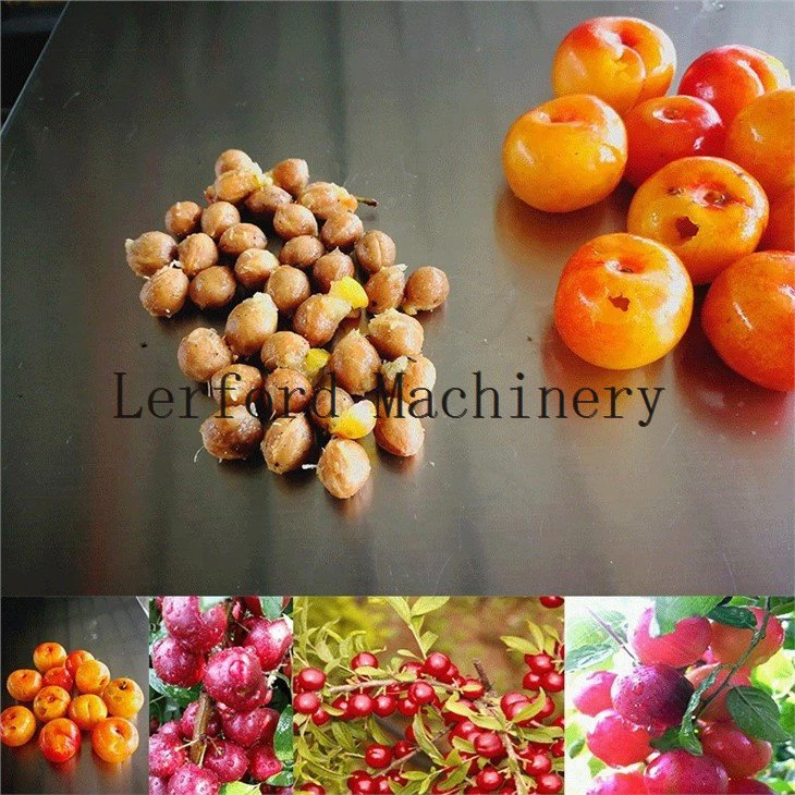 cherry pitter machine