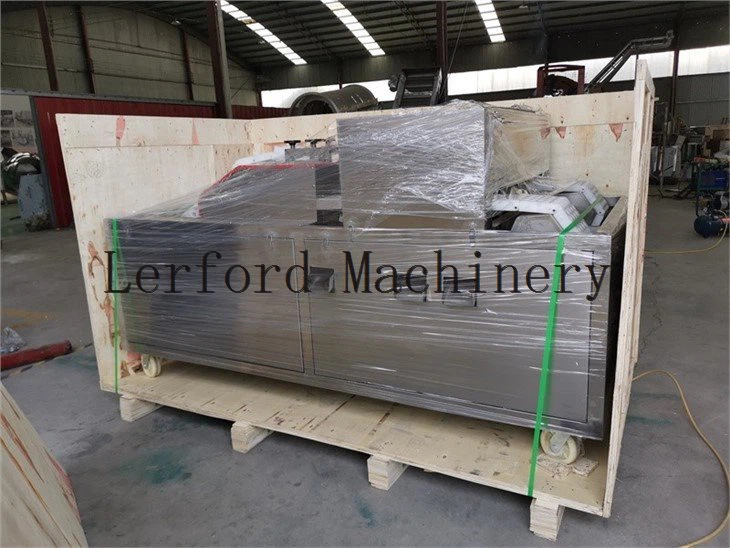 fruit pitter machine