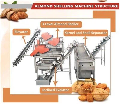 Peiriant Cracer Cnau Almon