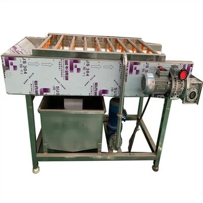 Peiriant Golchi Ffrwythau a Llysiau