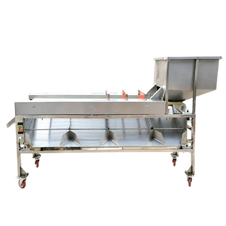 Automatic Fruit Sorting And Grading Machine