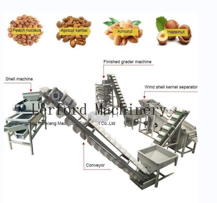 Cashew Nut Sorting Machine