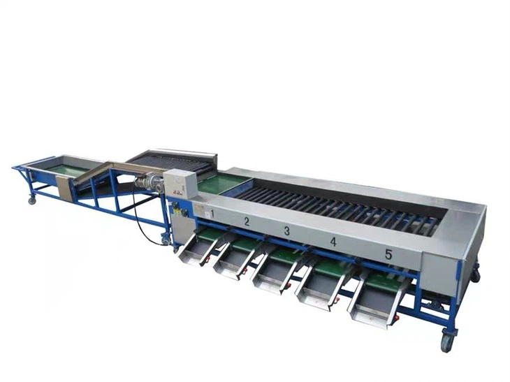 Lemon Sorting Machine