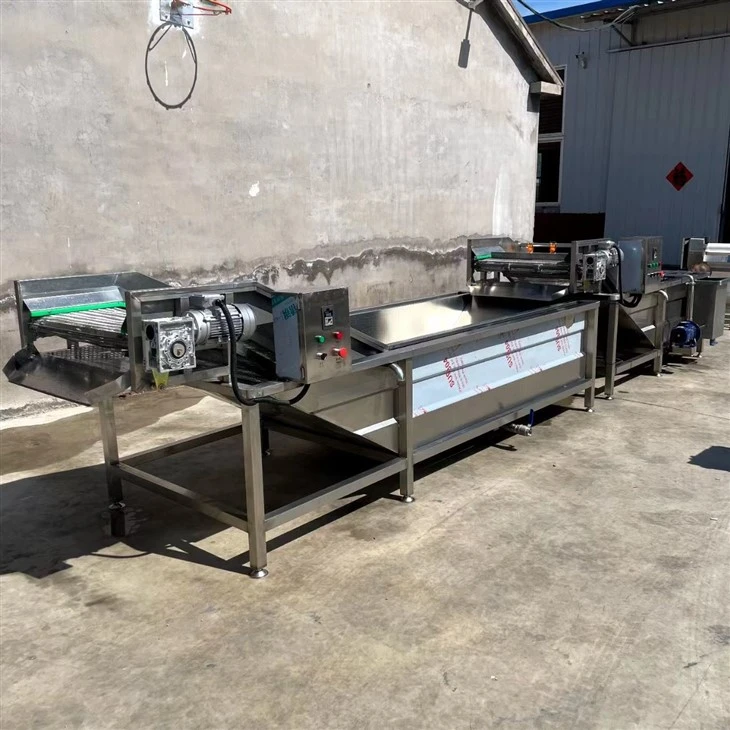 Spinach Washing Machine